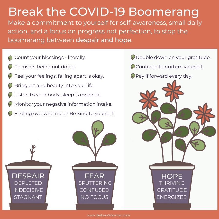 How to Stop the COVID-19 Boomerang Between Despair and Hope Barbara Waxman