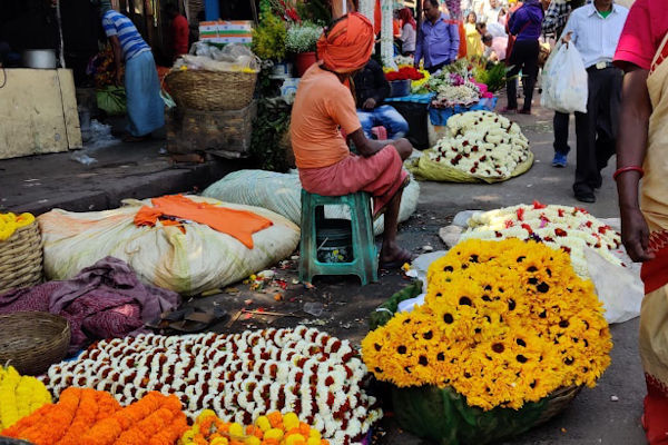 The Transformational Experience of Repotting in India Leadership Coach Barbara Waxman