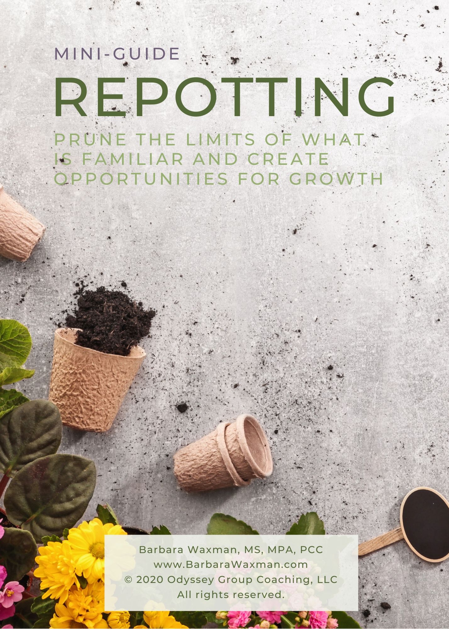 Repotting Mini-Guide from Executive Leadership Coach Barbara Waxman