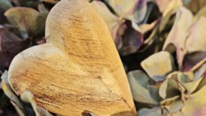 Gratitude: Growing Old and Grateful from longevity leader Barbara Waxman
