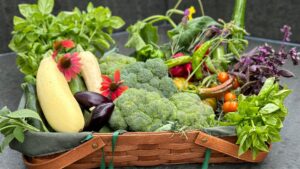 Lifestyle Is Medicine: Uncover the Seeds of Longevity with Barbara Waxman